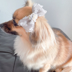 コットンキャンディリボン🎀 プチリボン 犬用リボン　トリミング　キッズリボン　わんこバレッタ　大人かわいい　プチギフト　jdバレッタ　トップノットリボン　ベビーヘアクリップ　