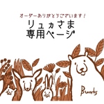 リュヵさま専用
