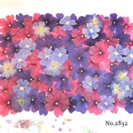 ♡new♡選別前だからお安く♡バーベナの押し花セット♡