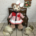シェリーメイシャツ&スカート