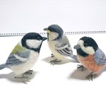 【uticomaさまご注文品】野鳥セット