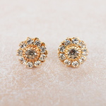 Swarovski Daisyチタンピアス