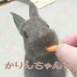 ♡rinyuki.noah1026さま専用♡