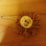 たわしじゃないょ。ライオン丸。