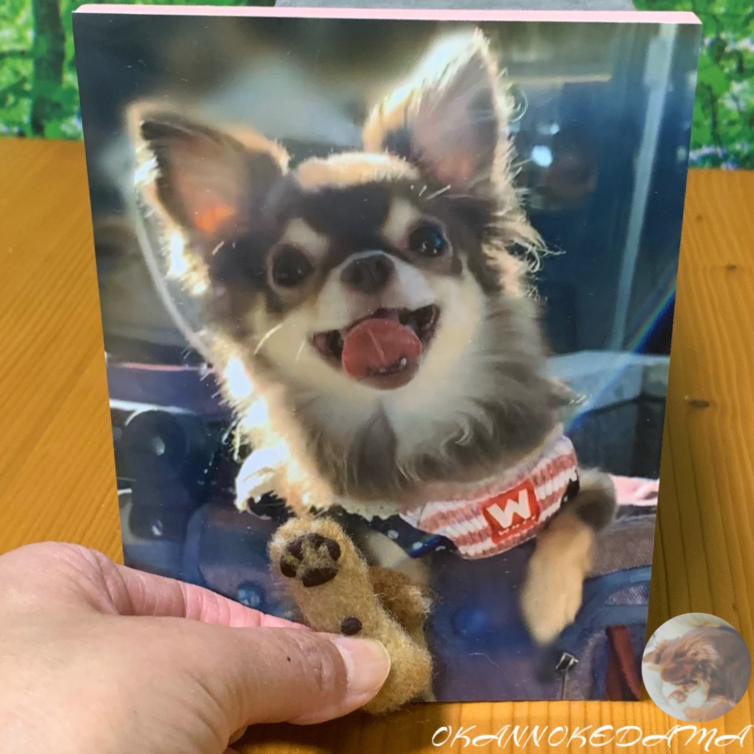 3d犬シリーズ フォトウッドパネル オーダー 犬 ダックス チワワ 羊毛フェルト フォトパネル Okan 07 S Gallery Minne 国内最大級のハンドメイド 手作り通販サイト