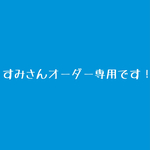 【すみさん専用】ピアス、ブレスレットセット