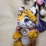 ちびトラ（クリア×青目）