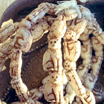 再入荷【6匹set】JIRIcat 15✖️9㍉　white/copper#czech beads#チェコビーズ　JIRI＊IVANA decb21