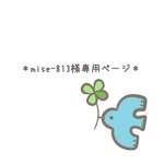 ＊mise-813様専用ページ＊