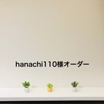 【hanachi110様専用】追加仕様
