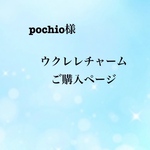 pochio様　ご購入用ページ