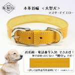 【送料無料】本革レザー首輪〈大型犬〉 マスタードイエロー 幅２４ｍｍ 長さ４０cm~６０cm変更可 ヌメ革