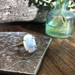 ..˖天然石*  雪の中に眠る デンドリティック アゲート リング (10号)  
