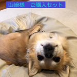 可愛い北欧系をぎゅっとパック💚
