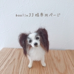＊オーダー品＊手乗りうちの子　ラクスちゃん