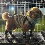 犬用汚れ防止レッグカバー　ブレスカバー　足カバー　あしカバー　小型犬　トイプードル