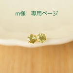 m様　専用ページ
