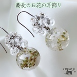 22日販売『蕎麦のお花と水晶の耳飾り』 ピアス イヤリング 金具変更可能