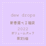 ✳︎dewdrops♡2022年新春選べるアクセサリー福袋♡ボリュームパック✳︎