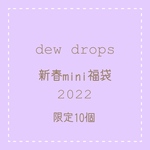 ✳︎dewdrops♡2022年新春アクセサリー福袋mini✳︎