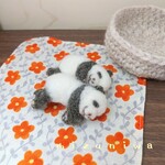 パンダの赤ちゃんたち【2匹セット】