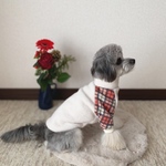 犬服‼︎暖かフリースタートル×チェック柄　ホワイト⭐️XS.S.M.DXS.DS.DM