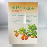  【お試し！】家庭用、傷あり大小いろいろサイズ　箱込5kg　　山口岩国みかん(温州みかん)　
