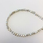 あこやケシ　3.5-4mm　連　B3(薄いグレー～薄い黄色)