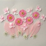 押し花セットC＜ノースポール＆レースフラワー＆あじさい＞