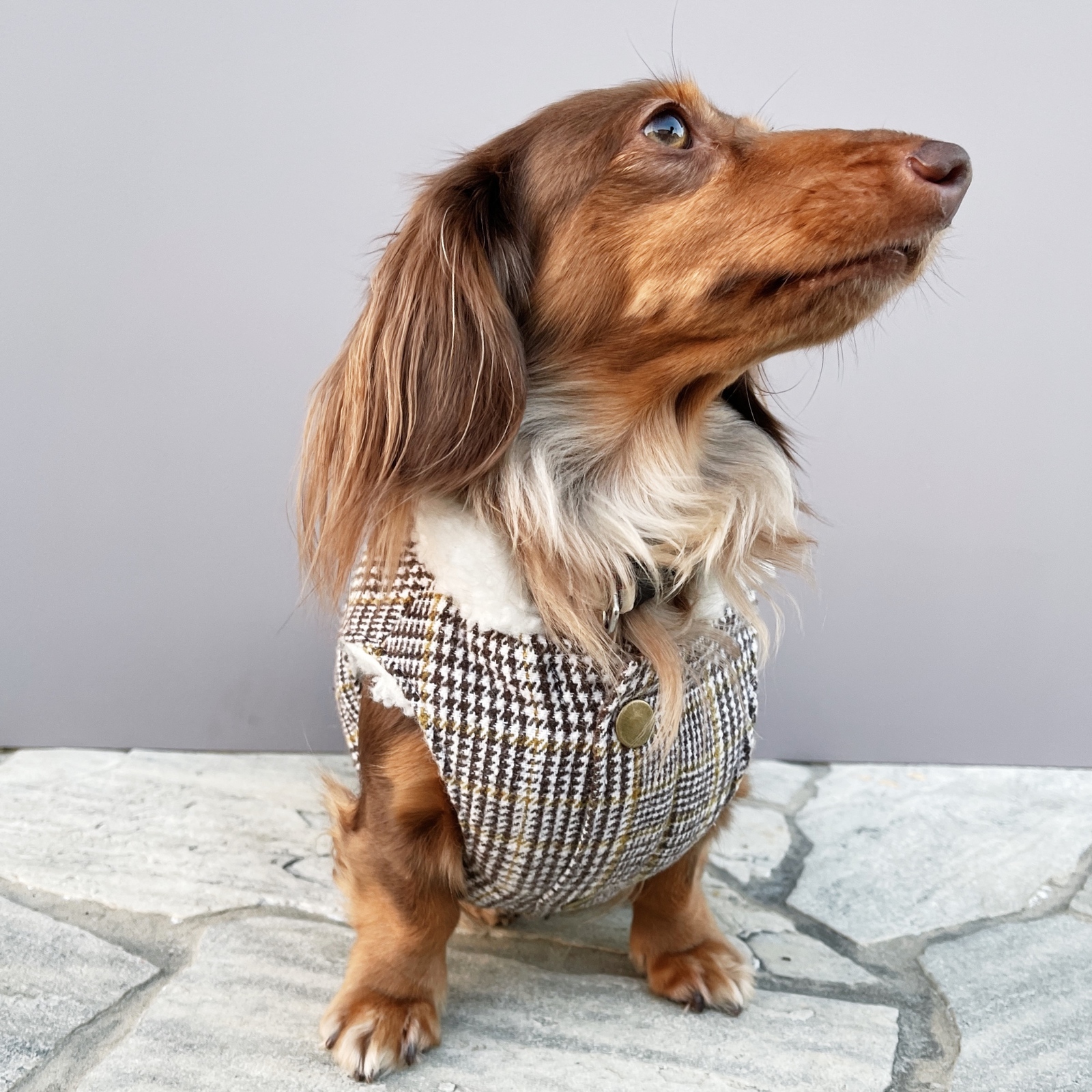 Non-stop dogwear ノンストップドッグウエア 犬スノーウエア 冬服