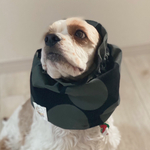 コールテン生地大柄ドッド◉ブラック×グレイ　犬用スヌード　中型犬用スヌード