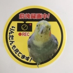 丸型 ドライブレコーダー　1匹用