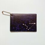 1枚収納スクエア型パスケース「夜空に輝くPOLARIS」＜現品限りの限定販売＞