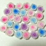 グラデーション薔薇♡20♡mix