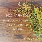 2022ハッピーバッグ✢ドライフラワーアンティークセット②