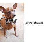 【Lily0411様専用】小型犬用 トラ柄パンツ