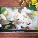 送料無料♢﻿Su'Zoo作品集 ZINE【A5横】