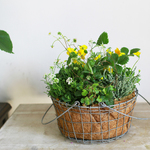 ミントの香るハーブ寄せ植えギャザリング
