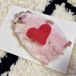 【送料無料】たまご🦔ポストカード 5枚セット