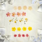 押し花素材♪イエロー系&オレンジ系　アソート　メラスフェルラ他