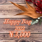 2022年 福袋 ピアス イヤリング ヘアアクセサリー♡ 3000円  Happy Bag  