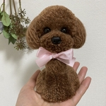動物ぽんぽん　トイプードル   ブラウン（鼻ボタンタイプ）
