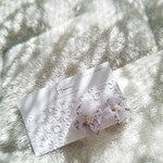ふわふわオーガンジー素材のドライフラワーイヤリング（かすみ草）