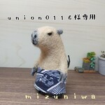 ＊union0116様専用＊どすこいっぽいカピバラさん【1匹】