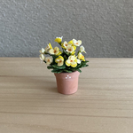ビオラ　テラコッタ鉢　4