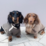 【バイカラーパイピングプルオーバー】【ベージュ】/ ドッグウェア / 犬服 / ペットウェア / ハンドメイド / いぬふく / ベージュ / ブラウン / ワンちゃん / 