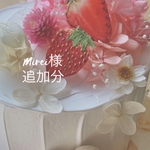 𝓜𝓲𝓻𝓮𝓲 様　追加分
