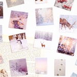 フレークシールセット　winter snowing　[AZ682]