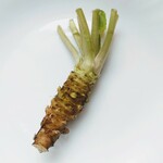 ［信州安曇野産わさび］お蕎麦好きな方やお刺身には欠かせない本物の味！年越しそばやお刺身に、お餅に飽きたらわさび丼やわさび茶漬けにも♪