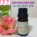★感染対策★ユーカリ ラディアタ★高品質セラピーグレード精油★